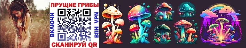 Галлюциногенные грибы GOLDEN TEACHER  Купить закладки  Высоцк 